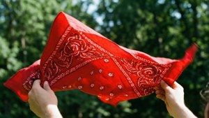 Bandana in the Wind