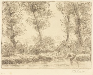 Banks of the Liane (Les bords de la Liane)
