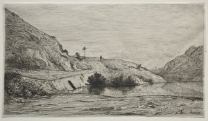 Banks of the Rhone