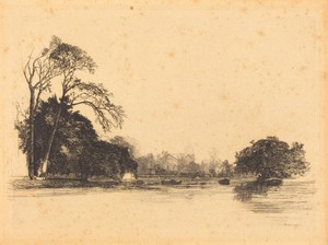 Banks of the Tamise