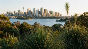 Barangaroo Native Garden
