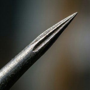Barb Detail Macro