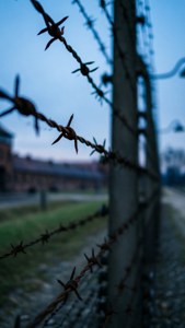 Barbed Boundaries