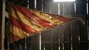 Barn Vintage Pennant