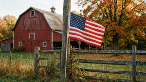 Barnyard Patriot