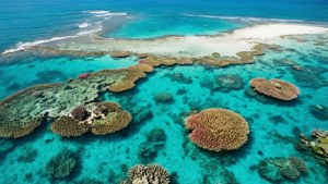 Barrier Reef Aerial