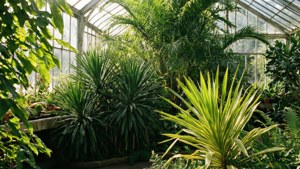 Basel Botanical Garden
