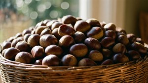 Basket of Chestnuts