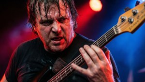 Bassist in the Groove