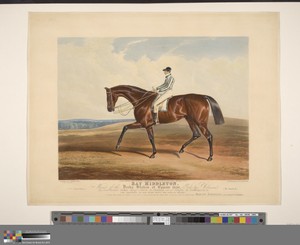 Bay Middleton. Winner of the Derby Stakes at Epsom 1836