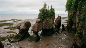 Bay of Fundy Low Tide