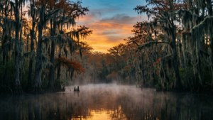 Bayou Sunset