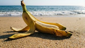 Beach Banana Peel