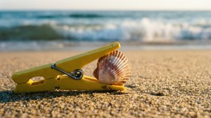 Beach Clothespin