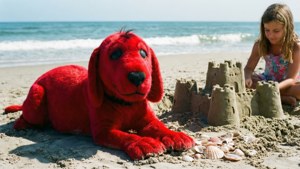 Beach Day Fun