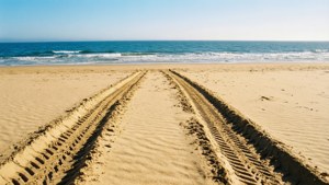 Beach Drive Tracks