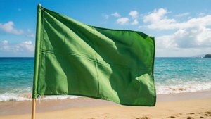Beach Eco-Flag