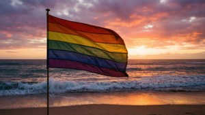 Beach Flag Sunset