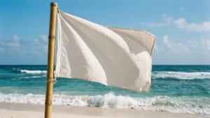 Beach Flag Tropical