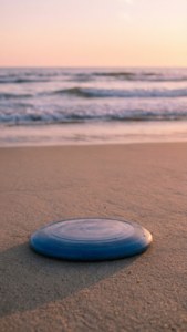 Beach Frisbee Sunset