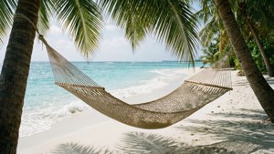 Beach Hammock Relaxation