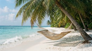 Beach Hammock Relaxation