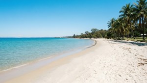 Beach Paradise