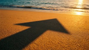 Beach Shadow Upvote