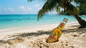 Beach Skol Hideaway