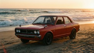 Beach Sunset Cruise
