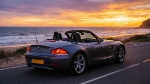Beach Sunset Cruise