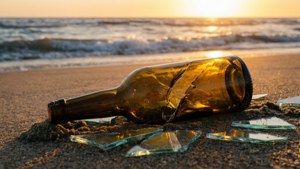 Beach Sunset Shards