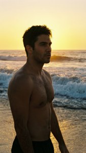 Beach Sunset Silhouette