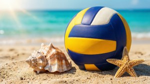 Beach Volleyball Still Life