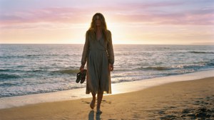 Beach Wanderer