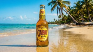 Beachside Cabo