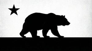 Bear Silhouette Flag