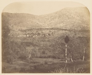 [Bear Valley - East]