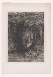 Beek door het bos