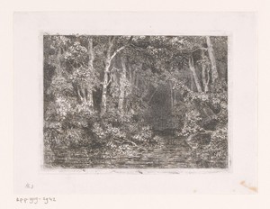 Beek door het bos met takken in het water