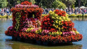 Begonia Festival Float