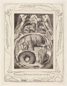Behemoth and Leviathan