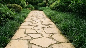 Beige Garden Path