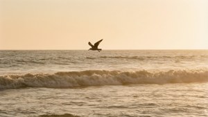 Beige Ocean Sunset