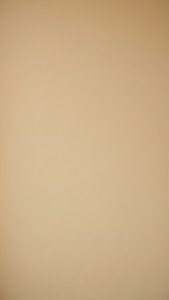 Beige Solid Placeholder