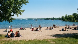 Bell Park Summer