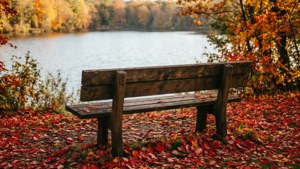 Bench by Autumn Lake