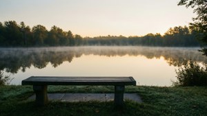 Bench by the Lake