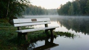 Bench of Reflection