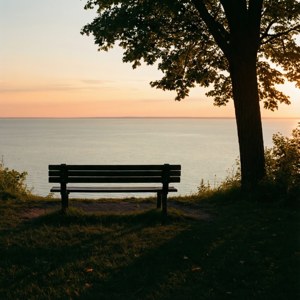 Bench with a View
